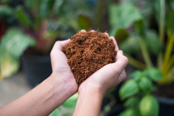 The Science Behind Coco Peat: WhyIt’s Revolutionizing Farming